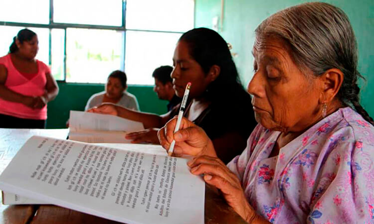 Razones Para Comenzar O Retomar Los Estudios En La Tercera Edad Hogar