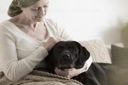 Beneficios de las mascotas para la salud en los  adultos mayores